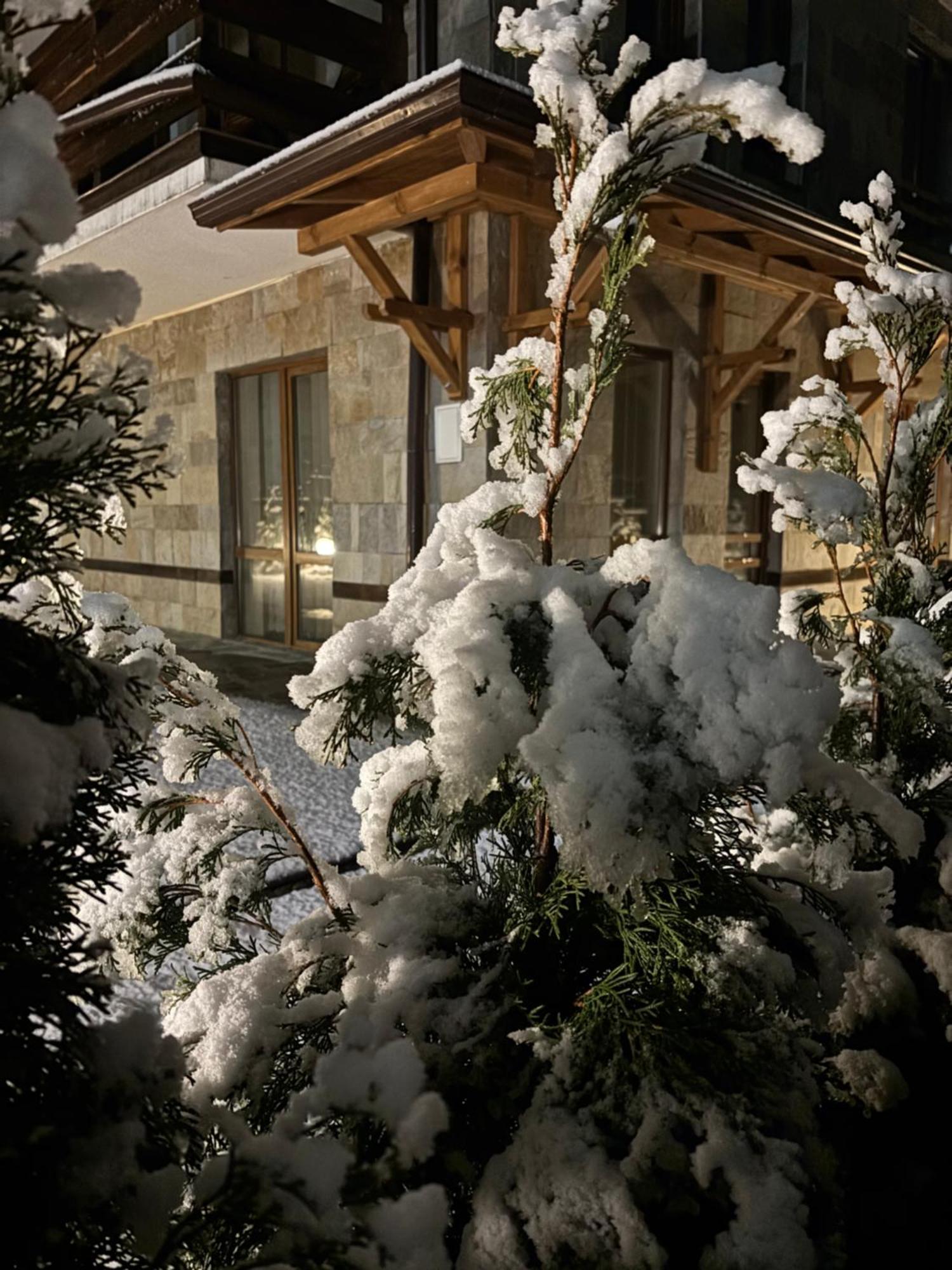 Bella Si Relax Daire Bansko Dış mekan fotoğraf